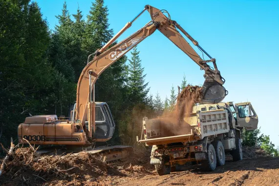 BetMotion Casino Suporte